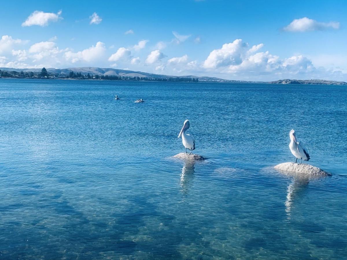 The Bluff Resort Apartments Encounter Bay Dış mekan fotoğraf